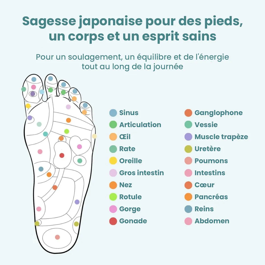 OrthoSoft™ - Semelles Magnétiques